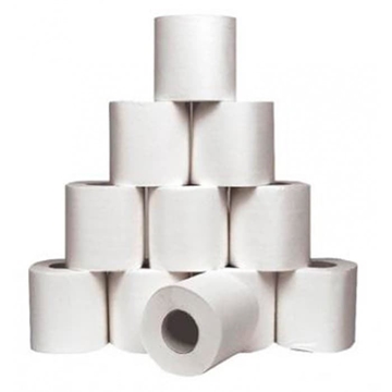 PAPEL HIGIÉNICO DOMÉSTICO 2C 18M 108R (12 PAQ X 9 R) - Imagen 1